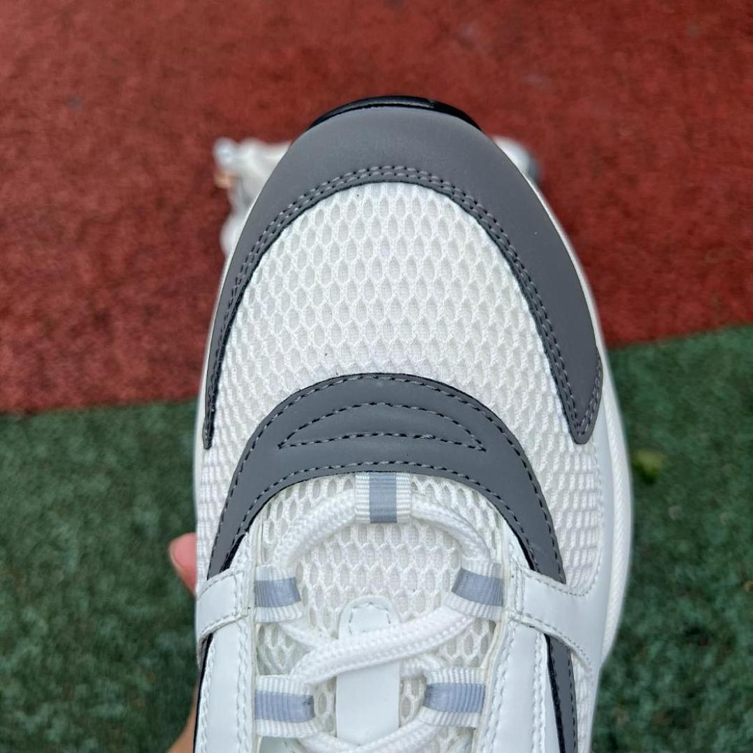 Dior B22 Sneaker White Grey