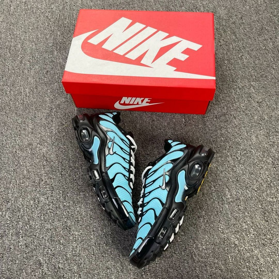 Nike Air Max Plus TN Glacier Blue FQ8236-412