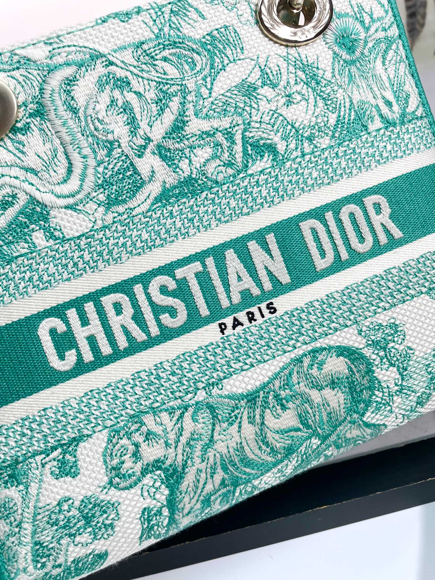 Christian Dior Medium Lady D-Lite Bag - Green Toile de Jouy Reverse Embroidery