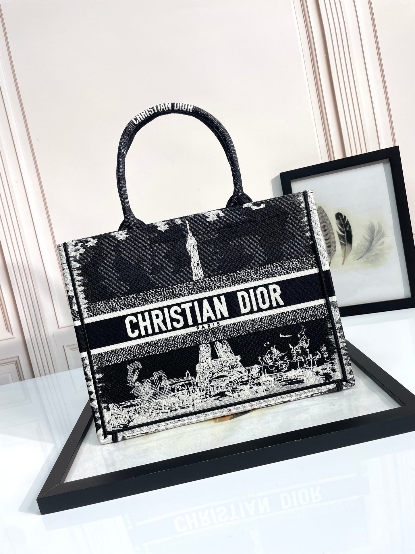 Christian Dior Book Tote - Paris Eiffel Tower Black & White Embroidered Canvas