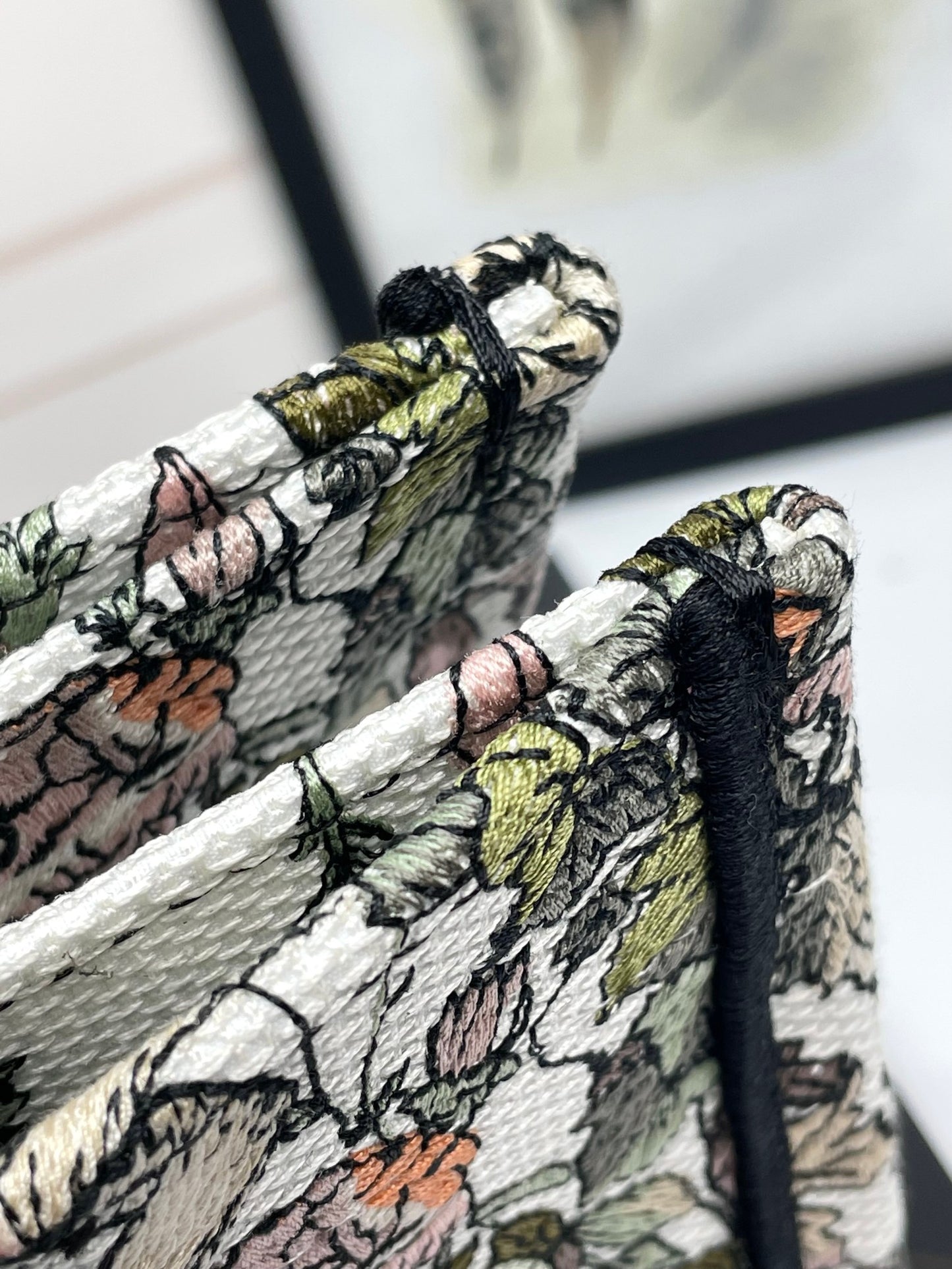 Christian Dior Book Tote - Multicolor Toile de Jouy Flowers Embroidery