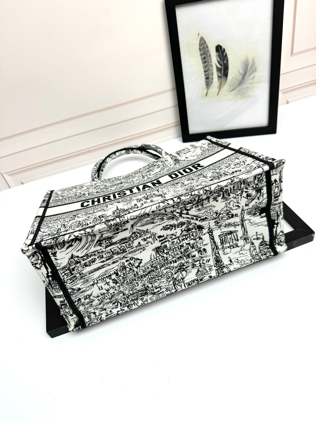Christian Dior Toile de Jouy Book Tote Bag - Black and White Embroidered Canvas