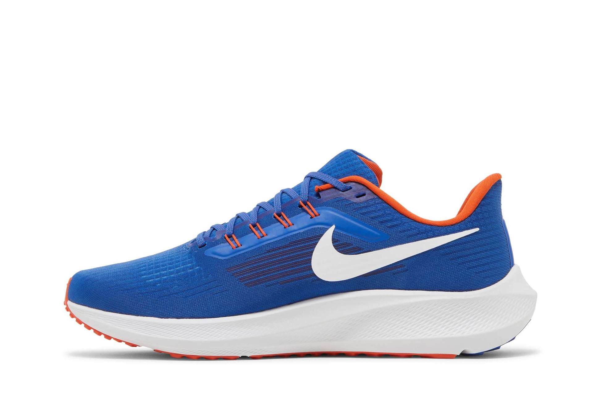 Nike Air Zoom Pegasus 39 Florida Gators DR1962-400