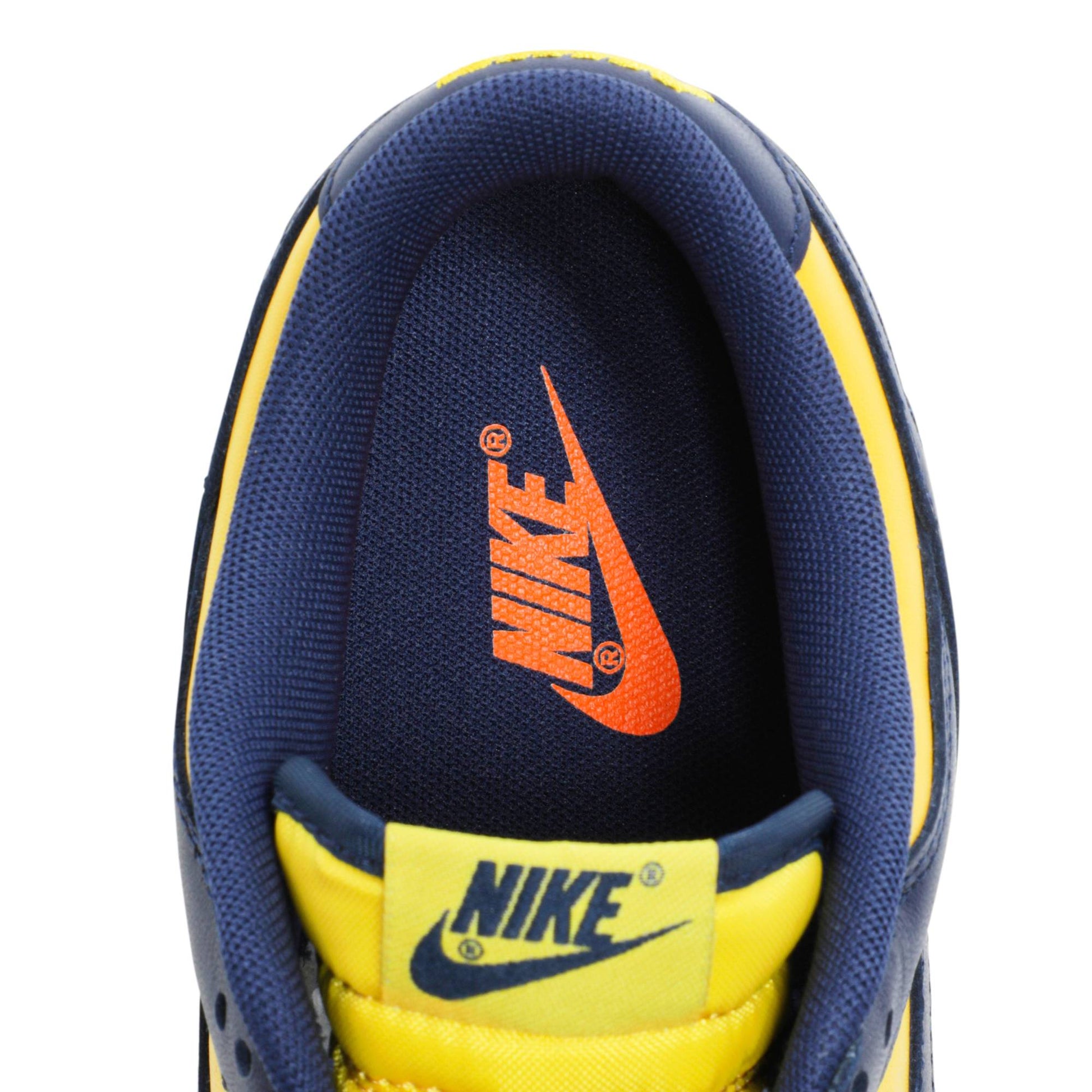 Nike Dunk Low Michigan 2021 DD1391-700