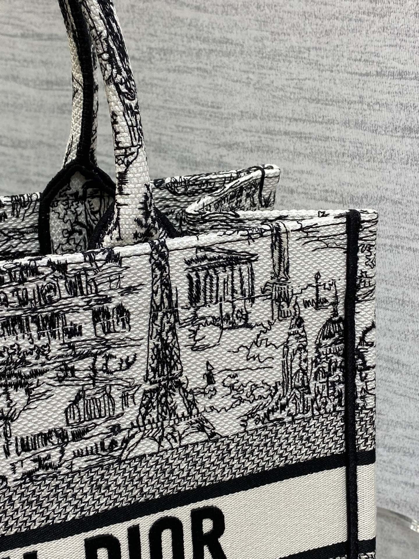 Christian Dior Medium Book Tote Plan de Paris Embroidery